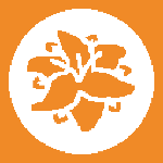 Gabemanlily member profile picture