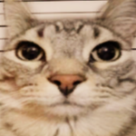 FIFAYERMC member profile picture