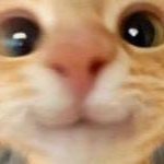 View Coding_Cat's Profile