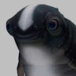 Cuddlefish67 member profile picture