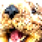 View OtterMC_real's Profile
