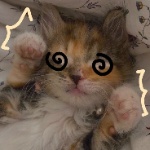 McKenz member profile picture
