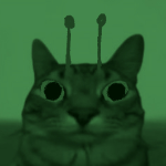 SlimeSlabs member profile picture