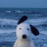 Tanuki_Misfit27 member profile picture