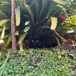 AncientUsername member profile picture