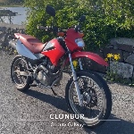 TomasLang member profile picture