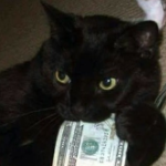 Fearthefahomm member profile picture
