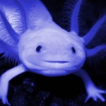 Jay_den_ member profile picture