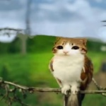 luvuaxtra member profile picture