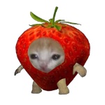 buildaks member profile picture