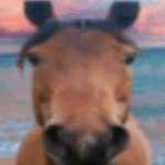 Verdant_Dreamer member profile picture