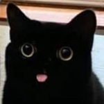 View Shikaku's Profile