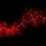 303horror member profile picture