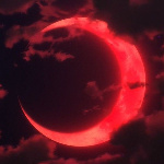 megumi_66033 member profile picture