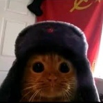 zeta4401 member profile picture