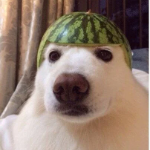 feaRPTT