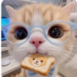 Yuzumi0v0 member profile picture
