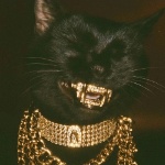 DollieDollas member profile picture