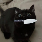 KatzenGott123 member profile picture
