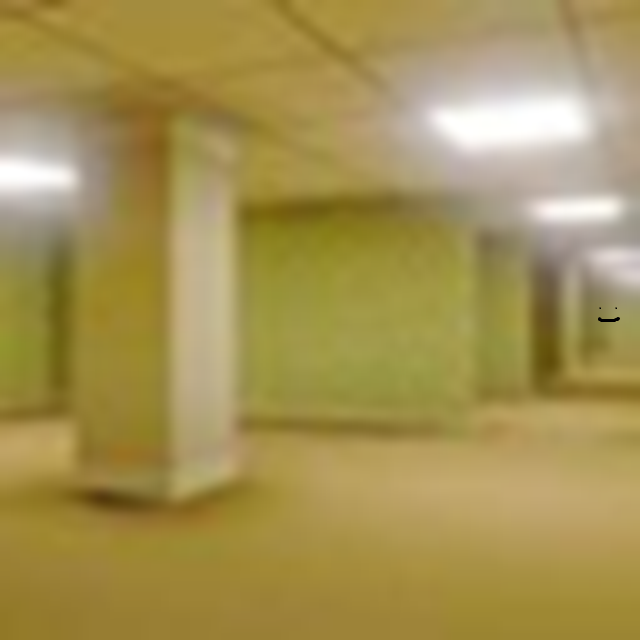 Backrooms-Experiment