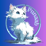 punaab member profile picture