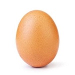 EggyToasty member profile picture