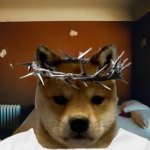 Electro79 member profile picture