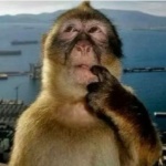 fed0til member profile picture