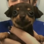 Xennovers member profile picture