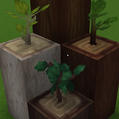 Reworked Saplings