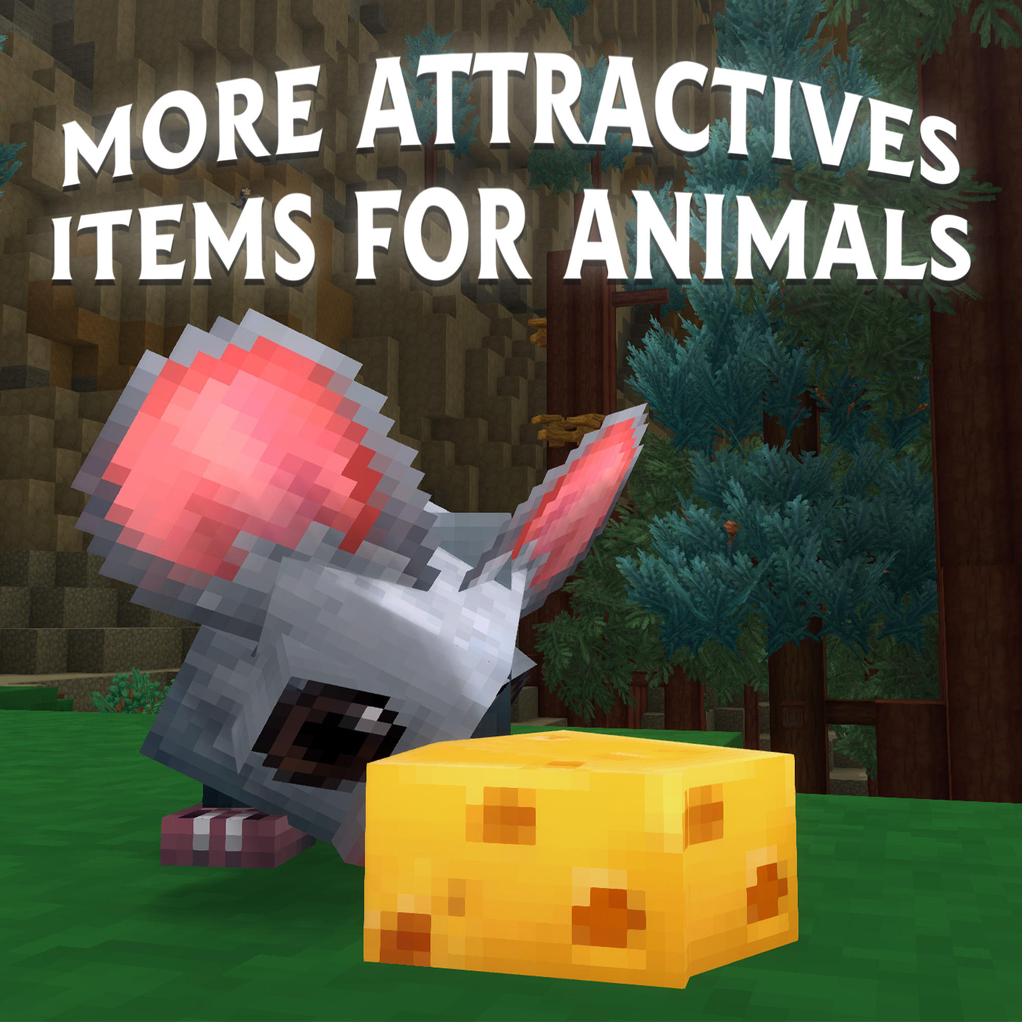More Attractives Items For Animals