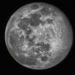KZeni1 member profile picture