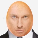 The_Starlight member profile picture