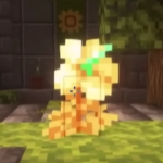 alexktoto member profile picture
