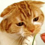 View Yorgl_'s Profile