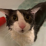 teri_qwq member profile picture