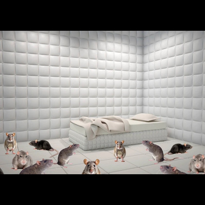 Rats Make Me Crazy - Sound