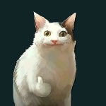 RondoFerrari member profile picture