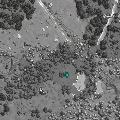 grayscale map project artwork