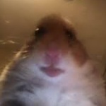 Spence3e member profile picture