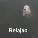 FelPaxRS member profile picture