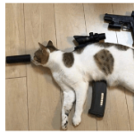 338_lapua member profile picture