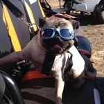 View sadeeva's Profile