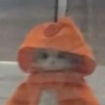 pochita67478 member profile picture