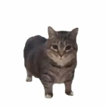 gly091020 member profile picture