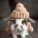 Summerdrake_SH member profile picture