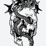 KosmoX member profile picture