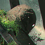 View selph_eu's Profile