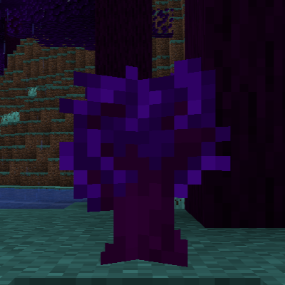 Mystic Forest