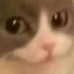 View Ninjarobot's Profile